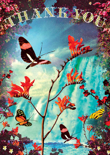 BC177 - Thank You Butterflies Greeting Card by Max Hernn BC177 - Thank You Butterflies Greeting Card by Max Hernn